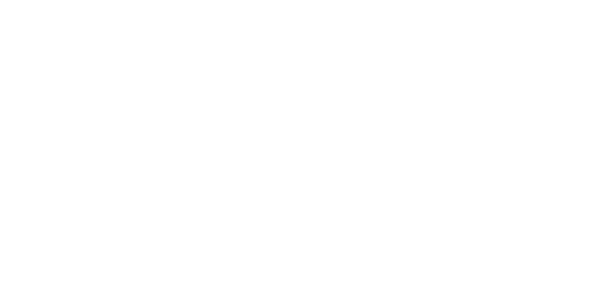 Fit3 Bridge